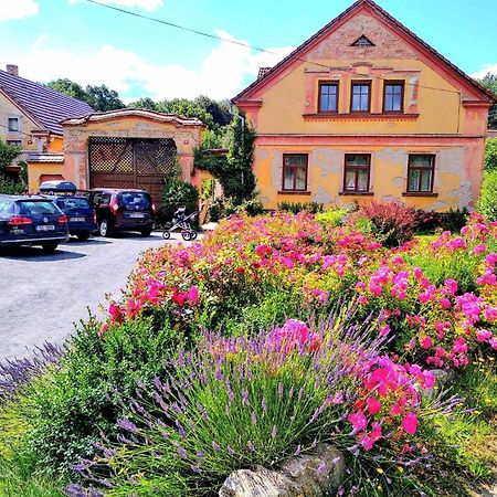 Apartmany Kosov 2 Bor Esterno foto